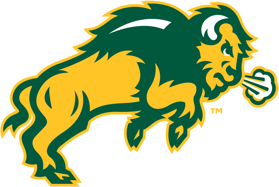 North Dakota State Bison 2012-Pres Secondary Logo iron on paper